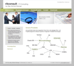 ritconsult / IT-Consulting